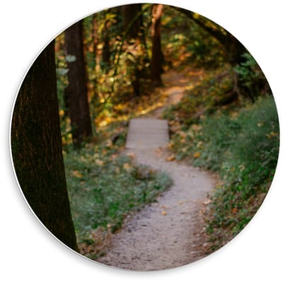 Forex Wandcirkel - Pad in Bos met Bruggetje - 50x50cm Foto op Wandcirkel (met ophangsysteem)