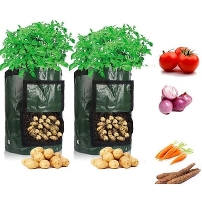 Plantzak PE Milieuvriendelijk Ademende Plantenkweekzak Tuinplantzak Tuiniergereedschap 5 Gallons 23x28cm donkergroene kleur
