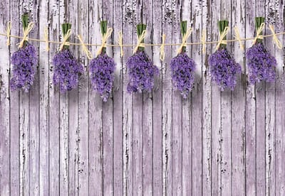 Fotobehang Wooden Wall Flowers Lavender | XL - 208cm x 146cm | 130g/m2 Vlies