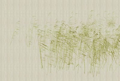 Fotobehang atthepond1 DD122052 Livingwalls Walls by Patel 3 Groen Beige Creme Vlies 270 x 400 cm (4 delen) Fotobehang online webshop