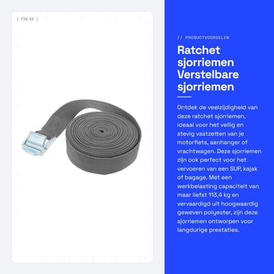 Dailygoods- Sjorriemen 25 mm x 6 m - Verstelbare Sjorbanden - Hoge Capaciteit 113,4 kg - Duurzaam Polyester - Voor Motorfiets/Aanhanger - Hoge Zichtbaarheid - Spanbanden
