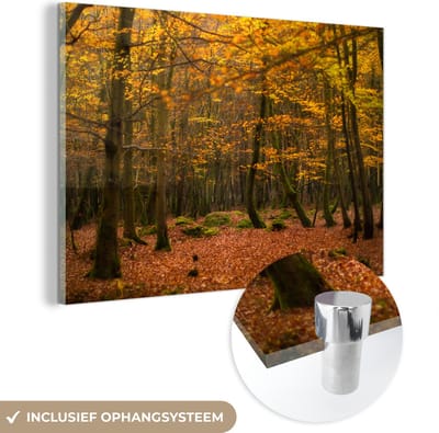 ® Glasschilderij 180x120 cm - Schilderij acrylglas - De dichte bossen van het Nationaal park New Forest in Engeland - Foto op glas - Muurdecoratie woonkamer - Wanddecoratie slaapkamer - Schilderijen