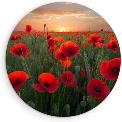 Saammp Muurcirkel Hout - Klaprozenveld- Natuur - Ø 90 - Wandcirkel - Wanddecoratie Cirkel - Muurdecoratie Woonkamer - Slaapkamer decoratie - Rond Schilderij