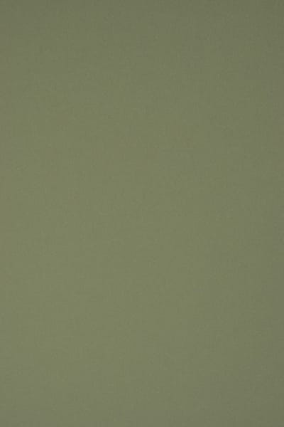 Netuno - groen ecologisch papier - A4 - 21 x 29,7 cm - 10 vellen - 360 gram - Materica Verdigirs