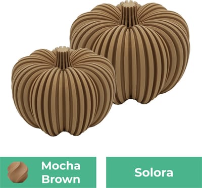 Solora pompoen beeld set – Decoratief beeld - Mokka Bruin - 3d geprinte beeld – Herfst woondecoratie - 10CM & 12.5CM