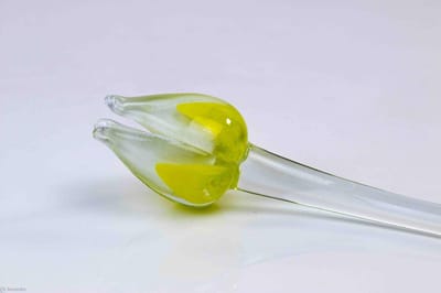 geel witte tulp - Tulp van glas 50 cm – bloem van glas – glaskunst – beeld van glas geschenk- cadeau