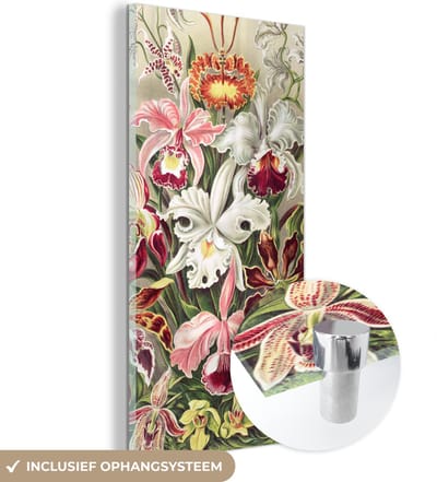 MuchoWow® Glasschilderij 20x40 cm - Schilderij acrylglas - Bloemen - Ernst Haeckel - Vintage - Orchidee - Foto op glas - Schilderijen
