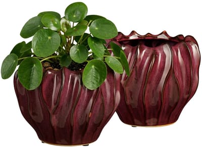 Mica Decorations Planten / bloempot Thom - 2x - bordeaux rood - keramiek - 17 x 22 cm