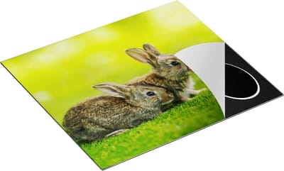 Chefcare Inductie Beschermer Twee Konijnen op het Groene Gras - 60x50 cm - Afdekplaat Inductie - Kookplaat Beschermer - Inductie Mat