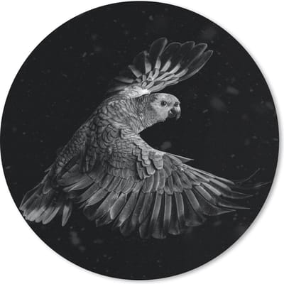 Muismat rond 20x20 cm - Mousepad Vliegende papegaai met gouden veren op een zwarte achtergrond - zwart wit - Ronde muismatten