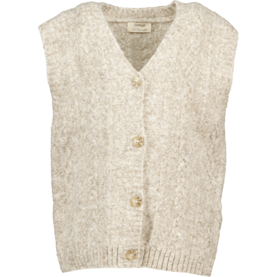 Zeeman Gilet - Bruin Bruin 92