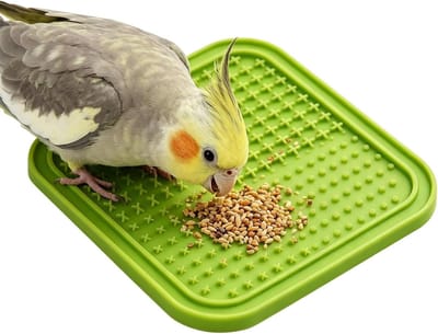 Vogel Foerageer Speelgoed - Puzzel Voedermat - Interactief Voeren - Langzame Voer Methode - 19.5 cm - Groen