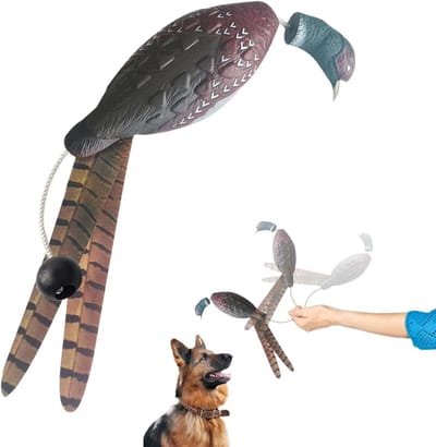 Hond apporteerdummy - Gevogelte trainer - Jachtvaardigheden verbeteren - Bewegingsgeactiveerd geluid - 28 x 9 x 6 cm - Kleine fazant