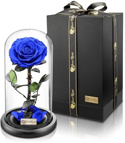 Echte premium roos in glas met geschenkdoos – Lange houdbaarheid en stijlvol cadeau