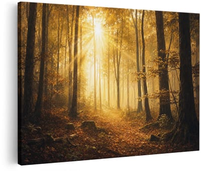 Artaza Canvas Schilderij Verlicht Bos - Herfstzon Door De Bomen - 30x20 cm - Klein - Wanddecoratie Woonkamer - Schilderijen - Muurdecoratie