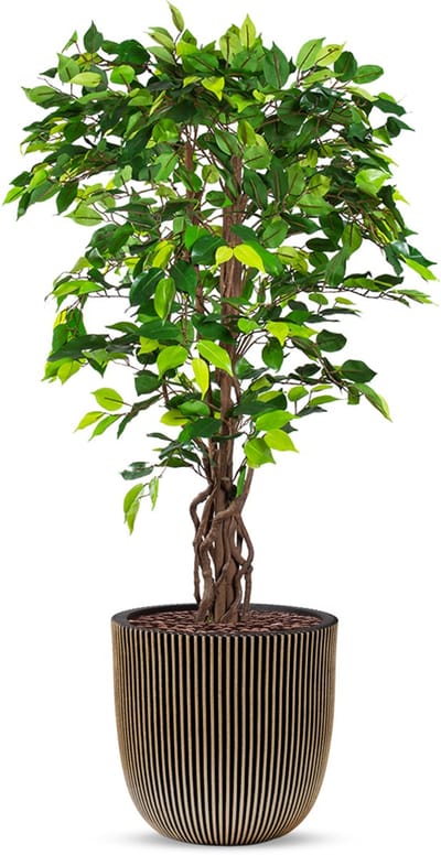 Kunstplant Ficus in Planter Ball groove zwartgoud H140 cm