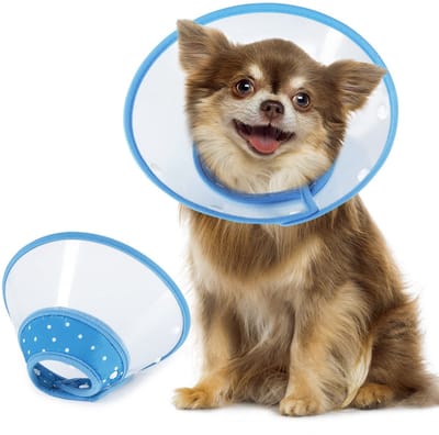 longziming - Kattenkraag - Beschermkraag - Hondenkap - Kattenherstelhalsband - Verstelbaar 12-14,5 cm - Lichtgewicht PVC - Zachte rand - Voor kleine honden en katten - S