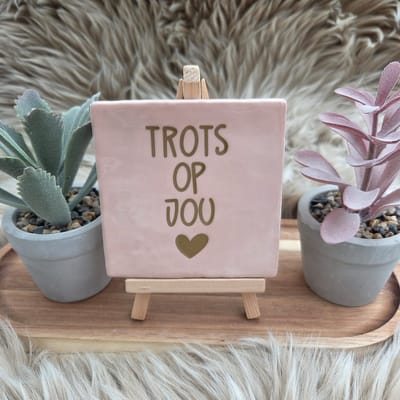 Robuust Wenstegeltje “Trots op Jou” – 10x10cm – Lief Cadeautegeltje met Hartje – Trendy nu – Geslaagd – vriend(in), familie, gezin, zomaar – Decoratief Tegeltje met Standaard – Cadeau Idee