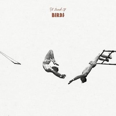 A Bunch Of Birds - A Bunch Of Birds (LP)
