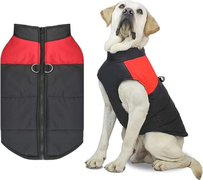 Waterdichte hondenjas voor alle maten - Warm en winddicht wintervest voor honden