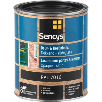 Sencys Beits Ramen En Deuren Dekkend Zijdeglans Ral7016 0,75l