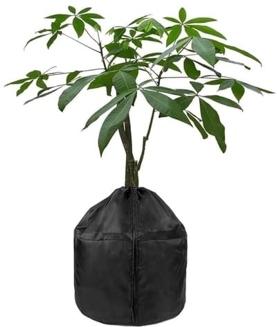 Winterhoes - Plantenbeschermingshoes - Vorstbescherming - Met Rits En Trekkoord - Beschermt Planten Bomen Struiken Tegen Vorst Kou En Dieren - Zwart 65x70 Cm