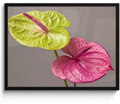 Poster in lijst - Fotolijst 80x60 cm - Posters - Planten - Anthurium - Groen - Roze - Posterlijst zwart - Decoratie - Wanddecoratie woonkamer - Muurdecoratie slaapkamer
