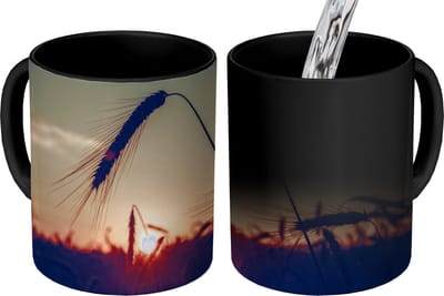 Magische Mok - Foto op Warmte Mokken - Koffiemok - Gras - Herfst - Zonsondergang - Seizoenen - Landschap - Magic Mok - Beker - 350 ML - Theemok