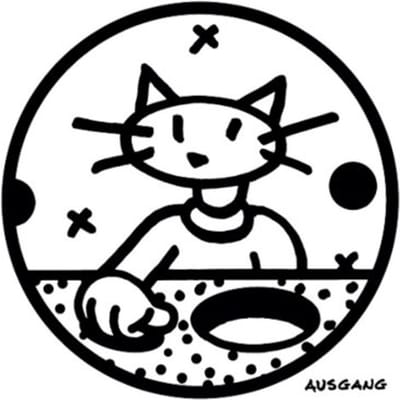The Real - The Brian Jonestown Massacre