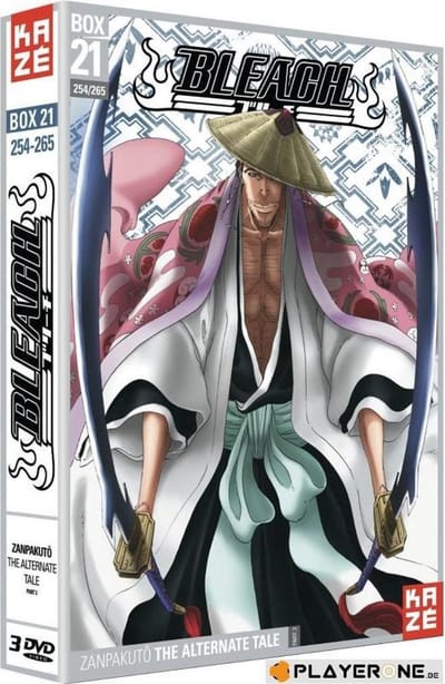 DVD - BLEACH - Box 21 - Saison 5 (Coffret 3 DVD)