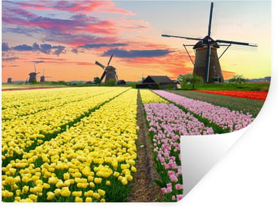 Muurstickers - Sticker Folie - Tulpen - Windmolen - Natuur - 40x30 cm - Plakfolie - Muurstickers Kinderkamer - Zelfklevend Behang - Zelfklevend behangpapier - Stickerfolie
