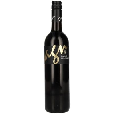 Weingut Hagn Hagn Blauer Burgunder 2023 13% Vol. 0,75l