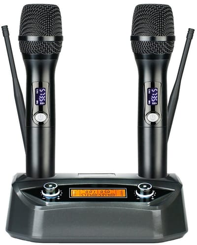 Dubbele professionele draadloze microfoon met vaste ontvanger