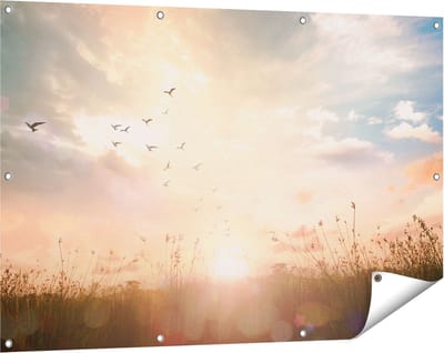 Gards Tuinposter Silhouet Vogels tijdens Zonsopkomst - 120x80 cm - Tuindoek - Tuindecoratie - Wanddecoratie buiten - Tuinschilderij