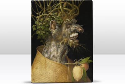 winter - Giuseppe Arcimboldo - 19,5 x 26 cm - Niet van echt te onderscheiden schilderijtje op hout - Mooier dan een print op canvas - Laqueprint.
