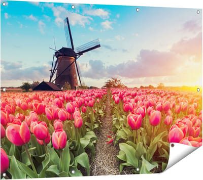 Gards Tuinposter Roze Tulpen Bloemenveld - met Windmolen - 120x90 cm - Tuindoek - Tuindecoratie - Wanddecoratie buiten - Tuinschilderij