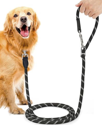 Hondenriem voor grote en middelgrote honden (15-60 kg) - 3 m verstelbare dubbele lijn & vrije handlijn van nylon met reflecterend door de extreme kracht tot 200 kg
