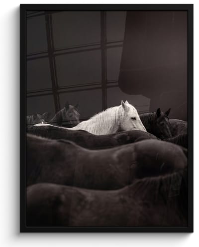 Poster in lijst - Fotolijst 60x80 cm - Posters - Paarden - Zwart - Wit - Kudde - Posterlijst zwart - Decoratie - Wanddecoratie woonkamer - Muurdecoratie slaapkamer