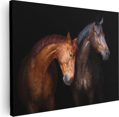 Artaza Canvas Schilderij Paard - 40x30 cm - Klein - Wanddecoratie Dierenkop - Muurdecoratie Woonkamer - Kamer Accessoires