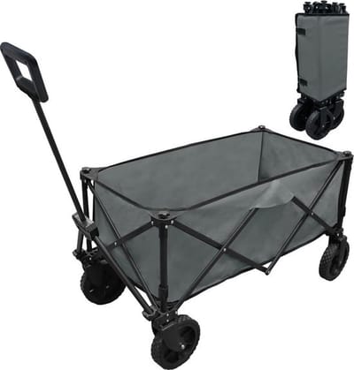 Bolderkar - Opvouwbaar - 100 kg draagkracht - Draaibare wielen- Grijs