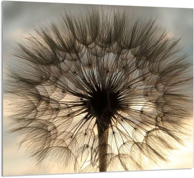 TMK ArtDeko - Snijplank - Gehard Glas - 65x60 - Kleur Kwiat