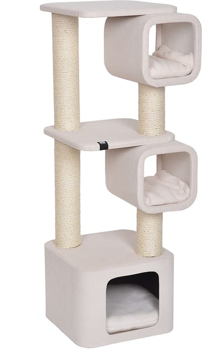 Kattenboom Ebi Akita