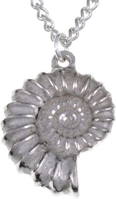 Ammonite Hanger ,fossiel sieraden