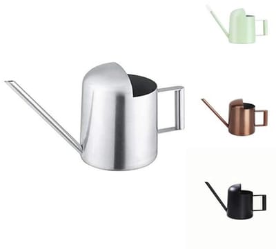 Mini gieter voor kamerplanten en vetplanten - 300 ml roestvrij staal met lange uitloop