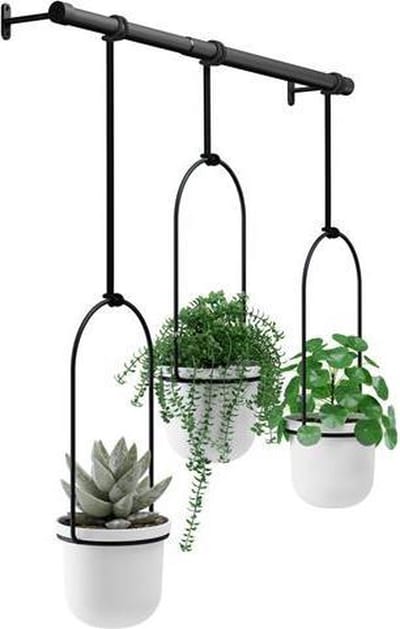 Umbra Triflora hangende bloempotten
