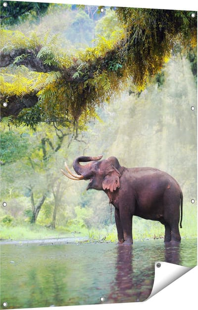 Gards Tuinposter Vrolijke Olifant in het Water - 90x120 cm - Tuindoek - Tuindecoratie - Wanddecoratie buiten - Tuinschilderij