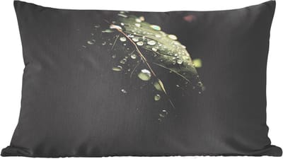 Sierkussens - Kussentjes Woonkamer - 60x40 cm - Blad - Groen - Nerven - Regendruppels