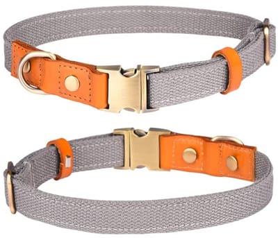 Dailygoods- Halsband Verstelbaar - Nylon/Huisdierhalsband - Metalen Veiligheidsgesp - Roestvrij Stalen Sluiting - Lichtgewicht/Zacht - Ademend/Huidvriendelijk - Hondenhalsband