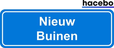 Hacebo - Plaatsnaam Sticker - 29x10 CM - Nieuw Buinen sticker - Verkeersborden sticker - grappige cadeaus - Nieuw Buinen