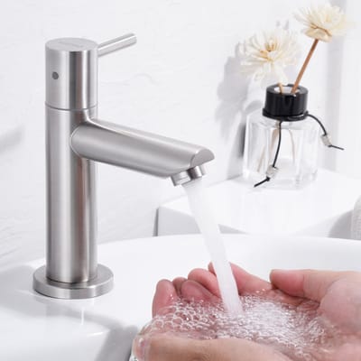Cecipa Max Koudwaterkraan - Wastafelkraan - Toiletkraan - Waterbesparend - Geborsteld RVS - G3/8 Aansluiting - S-Size